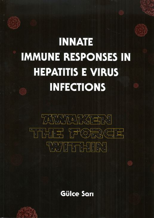 Innate immune responses in hepatitis E virus infections awaken the force within Nederlandse